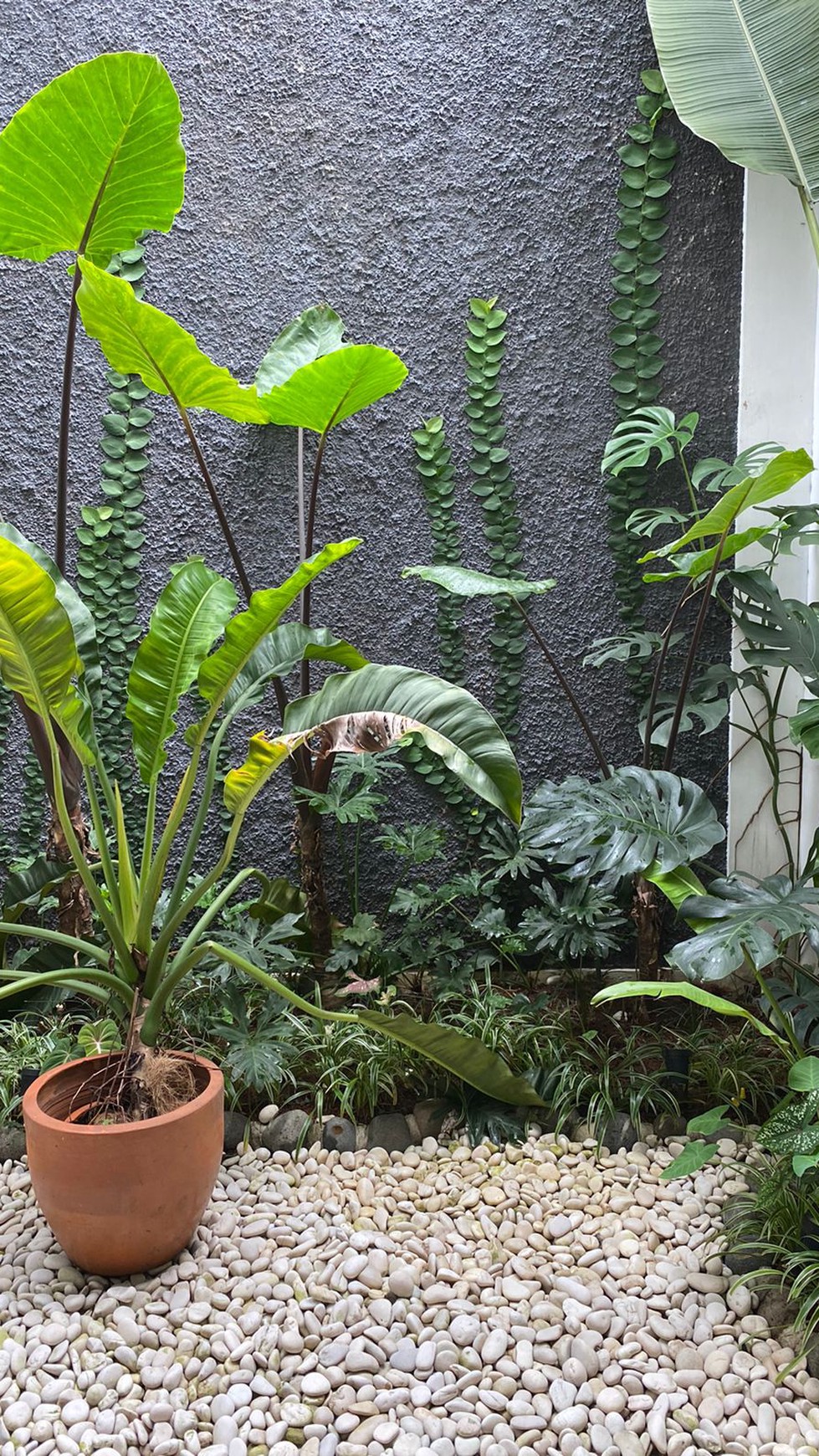 Rumah Siap Huni, Hunian Asri dan Minimalis @Discovery, Bintaro.
