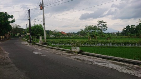Tanah Sawah  3.324 Meter Persegi Di Daerah Utara Tridadi Sleman