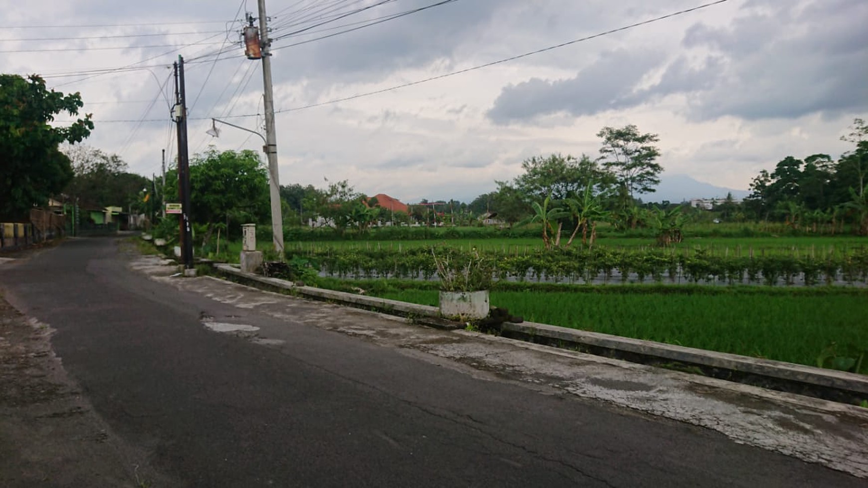Tanah Sawah 3.324 Meter Persegi Di Daerah Utara Tridadi Sleman