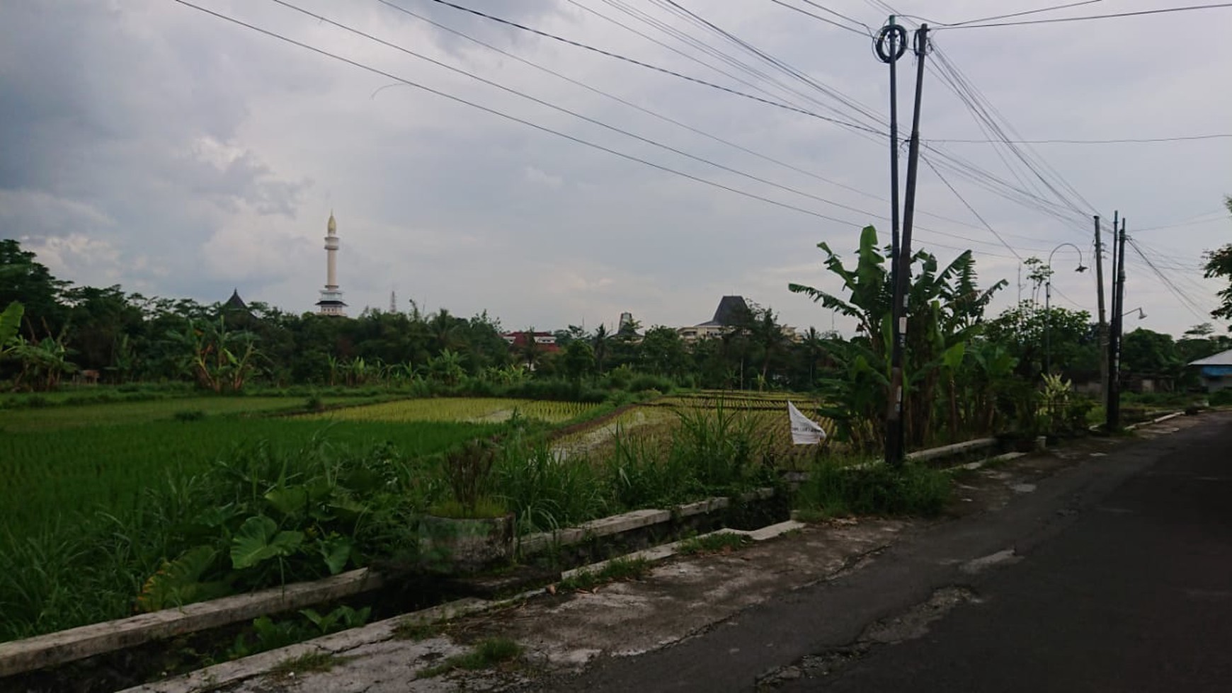 Tanah Sawah 3.324 Meter Persegi Di Daerah Utara Tridadi Sleman