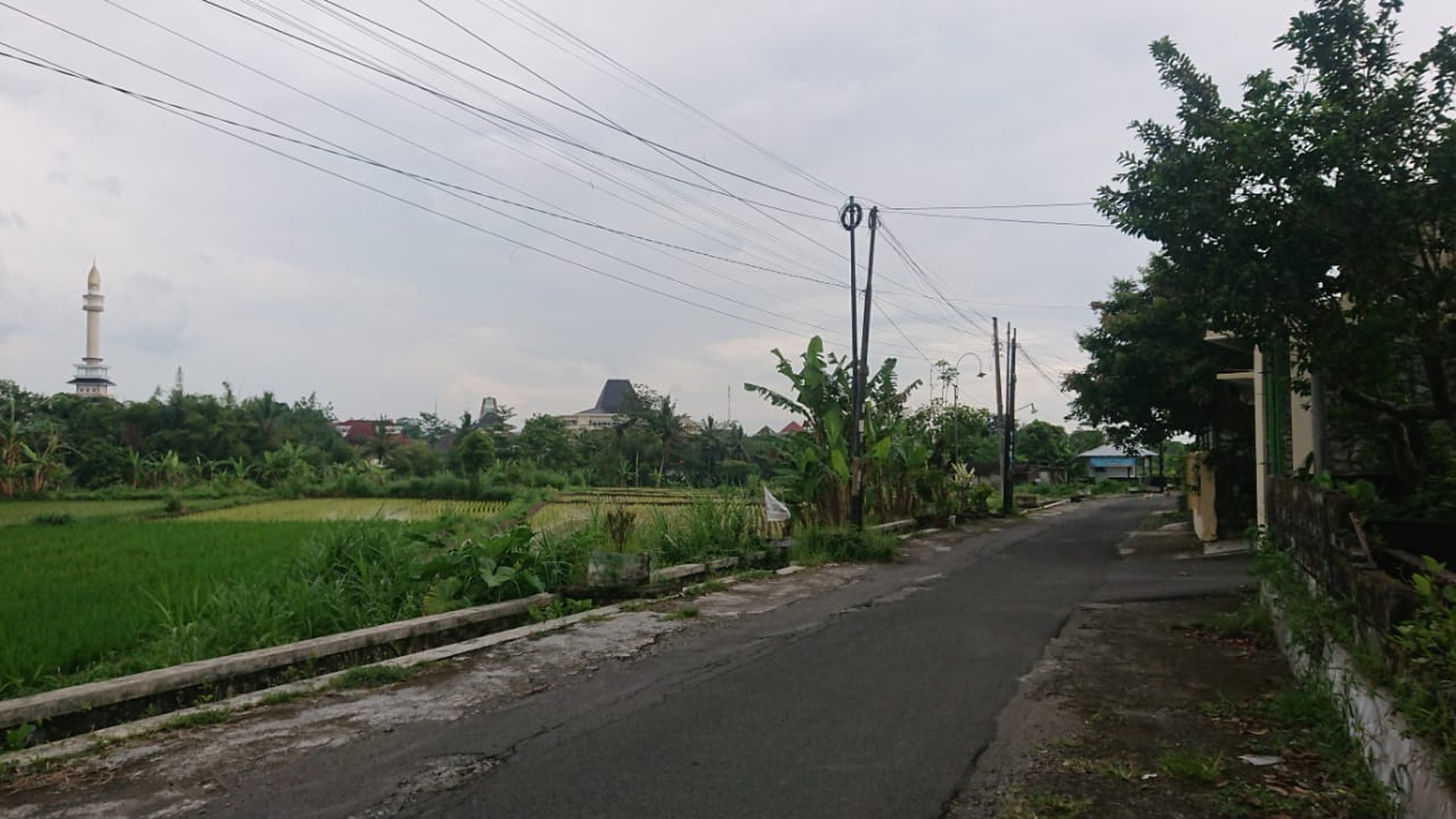 Tanah Sawah 3.324 Meter Persegi Di Daerah Utara Tridadi Sleman