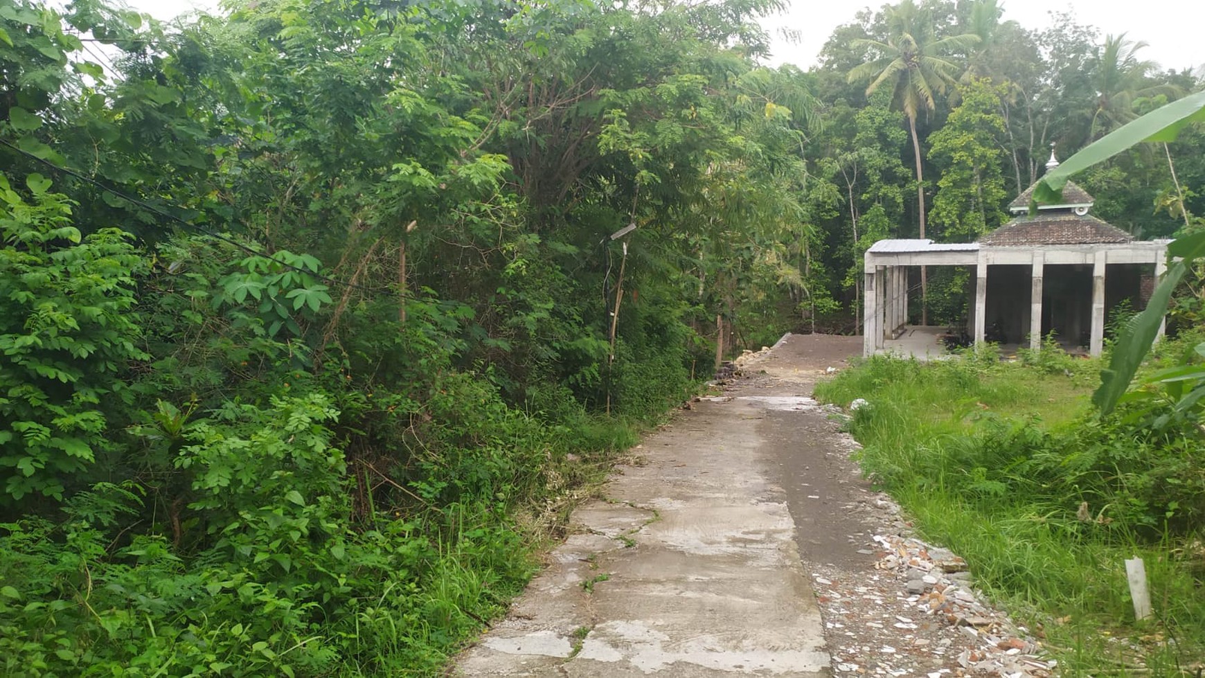 Tanah SHM Pekarangan 195 Meter Persegi Dekat Kampus UMY dan RSU Gamping