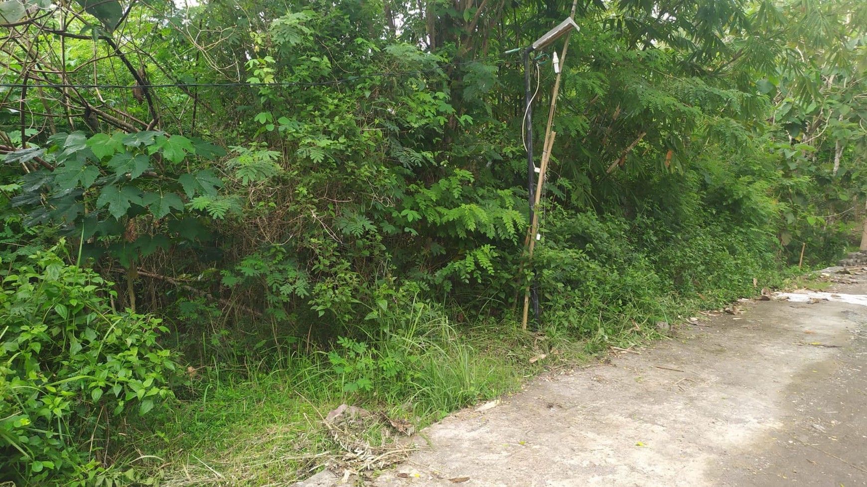Tanah SHM Pekarangan 195 Meter Persegi Dekat Kampus UMY dan RSU Gamping