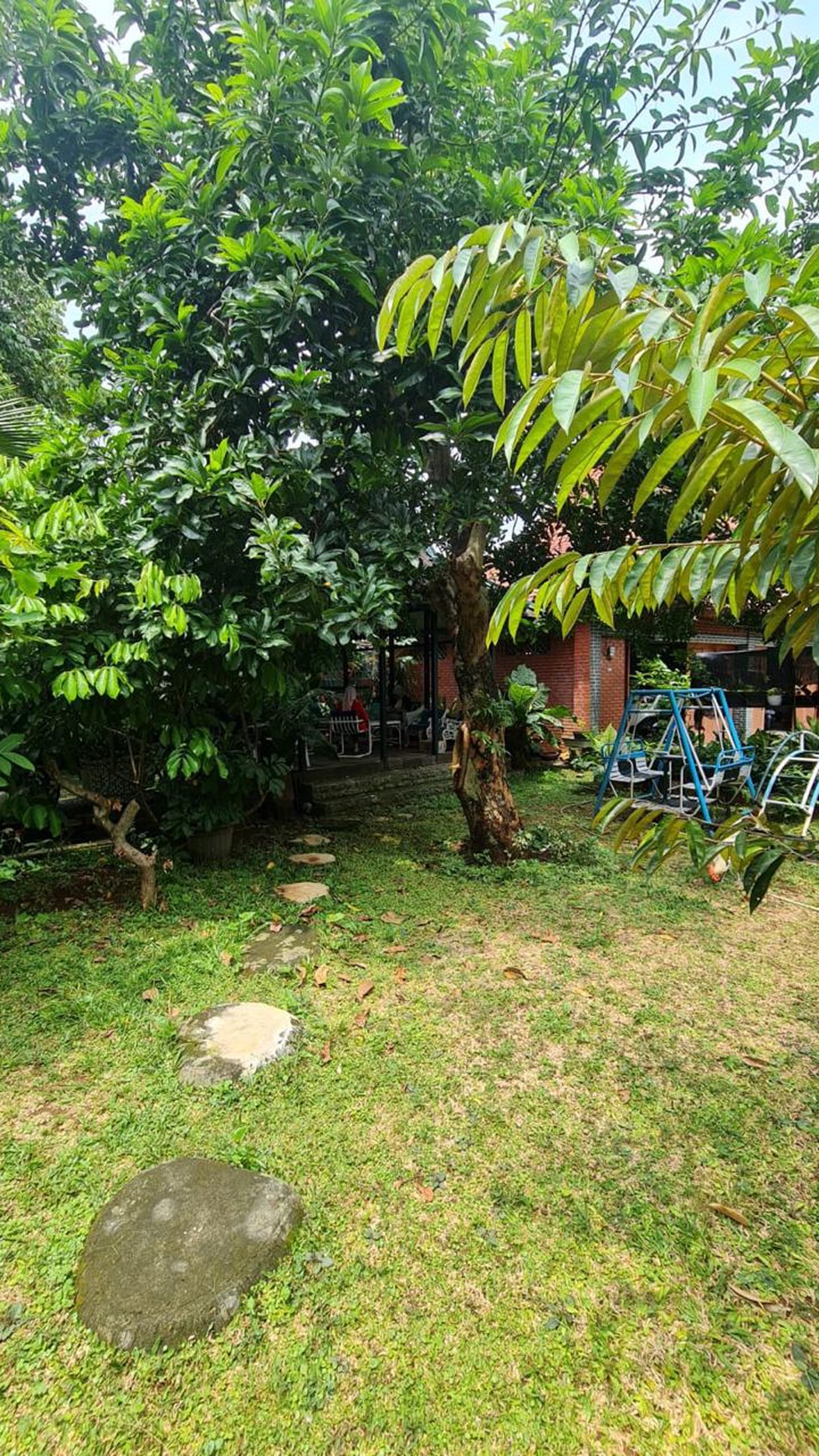 Rumah Bagus Di Jl Kedondong Raya Jagakarsa Jakarta Selatan