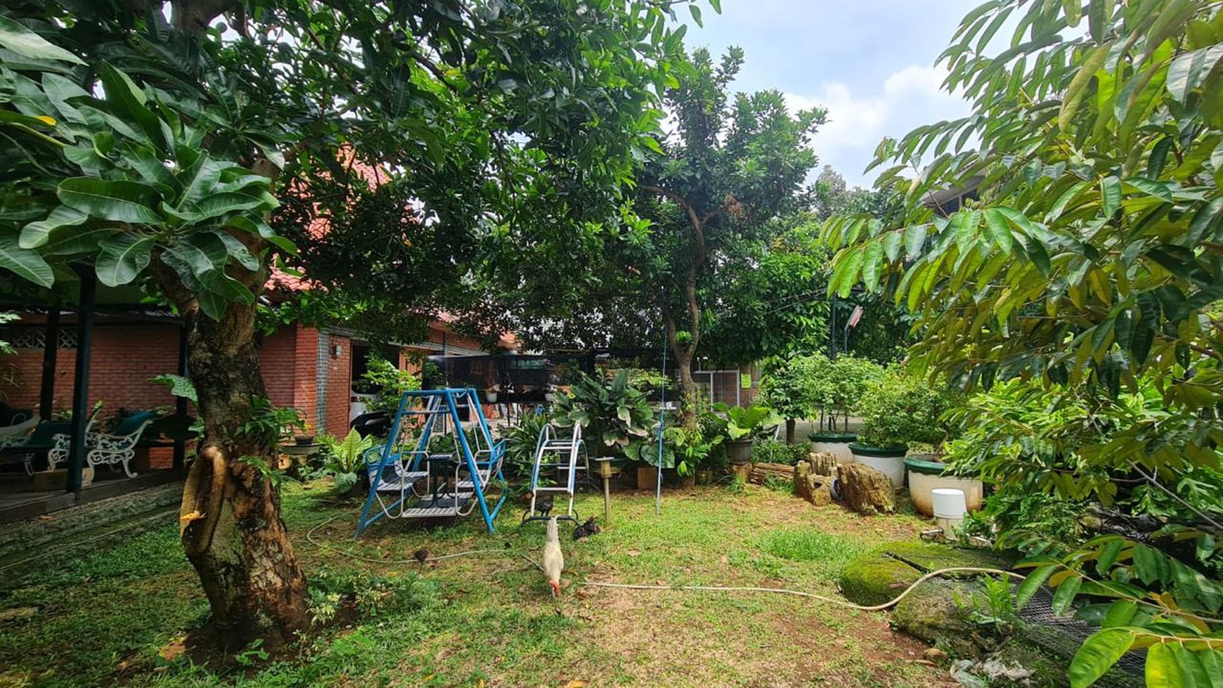 Rumah Bagus Di Jl Kedondong Raya Jagakarsa Jakarta Selatan