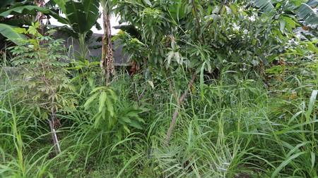 Tanah Luas daerah Cipete Cilandak dekat Kemang, Pondok Indah, MRT