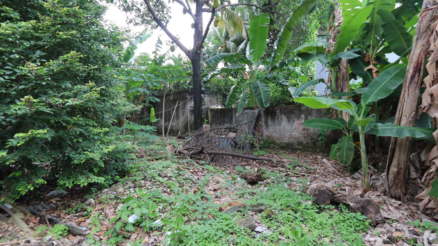 RUMAH DAN TANAH LUAS, DEKAT MRT, DI CIPETE SELATAN, CILANDAK COCOK UNTUK RUMAH NYAMAN