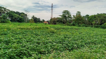 Tanah Strategis di Jl. Raya Dramaga Bogor 