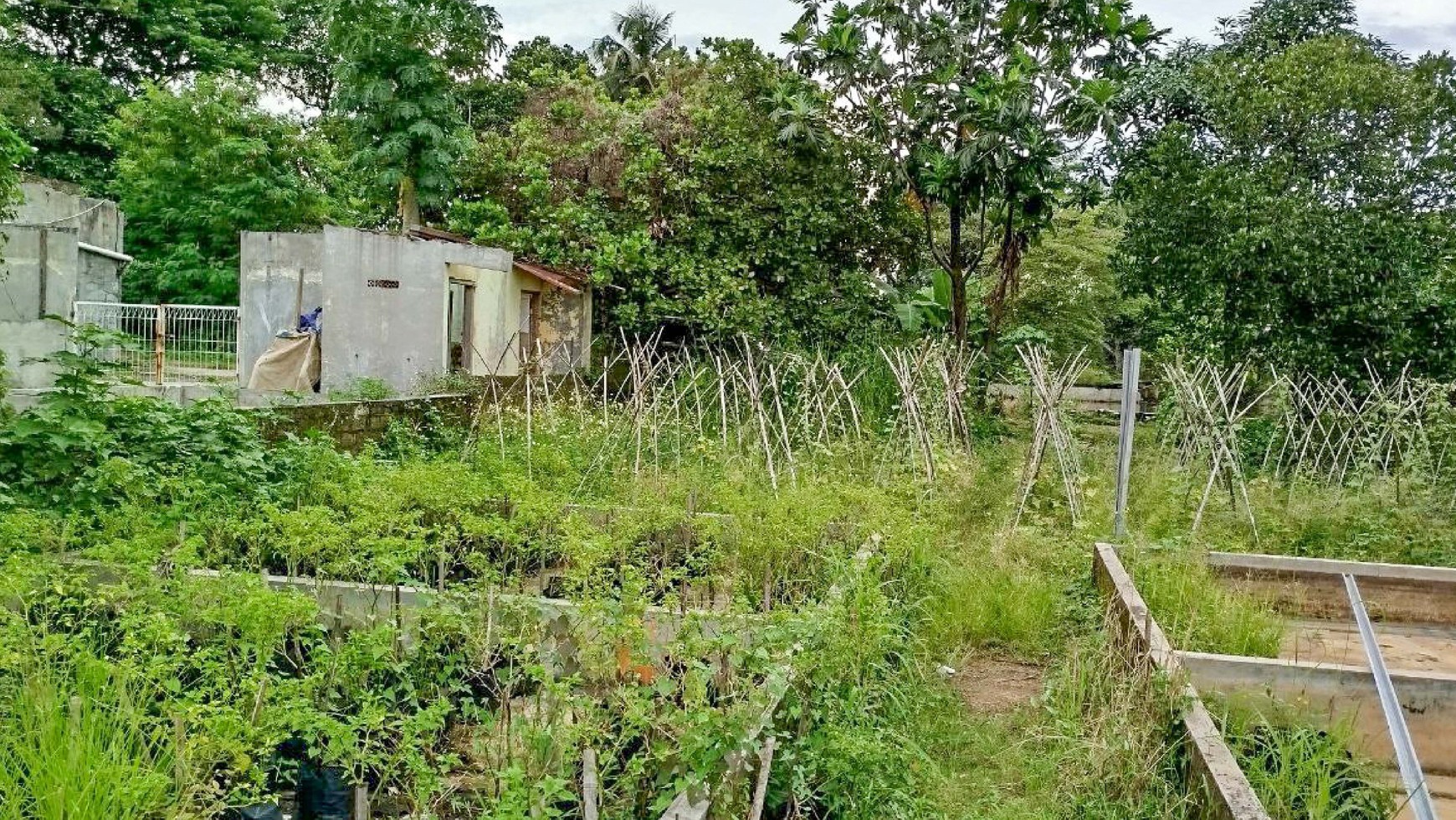 Tanah Strategis di Jl. Raya Dramaga Bogor 