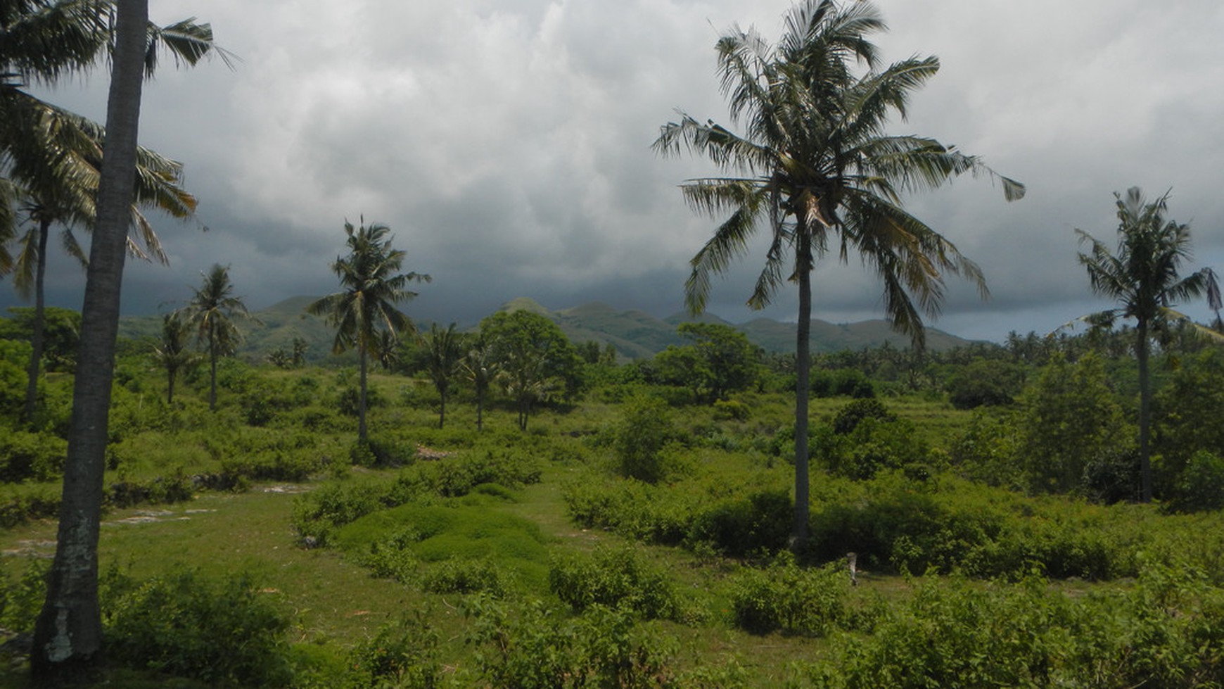 Cliff Top Land, One Hectar Freehold Nusa Penida, Bali