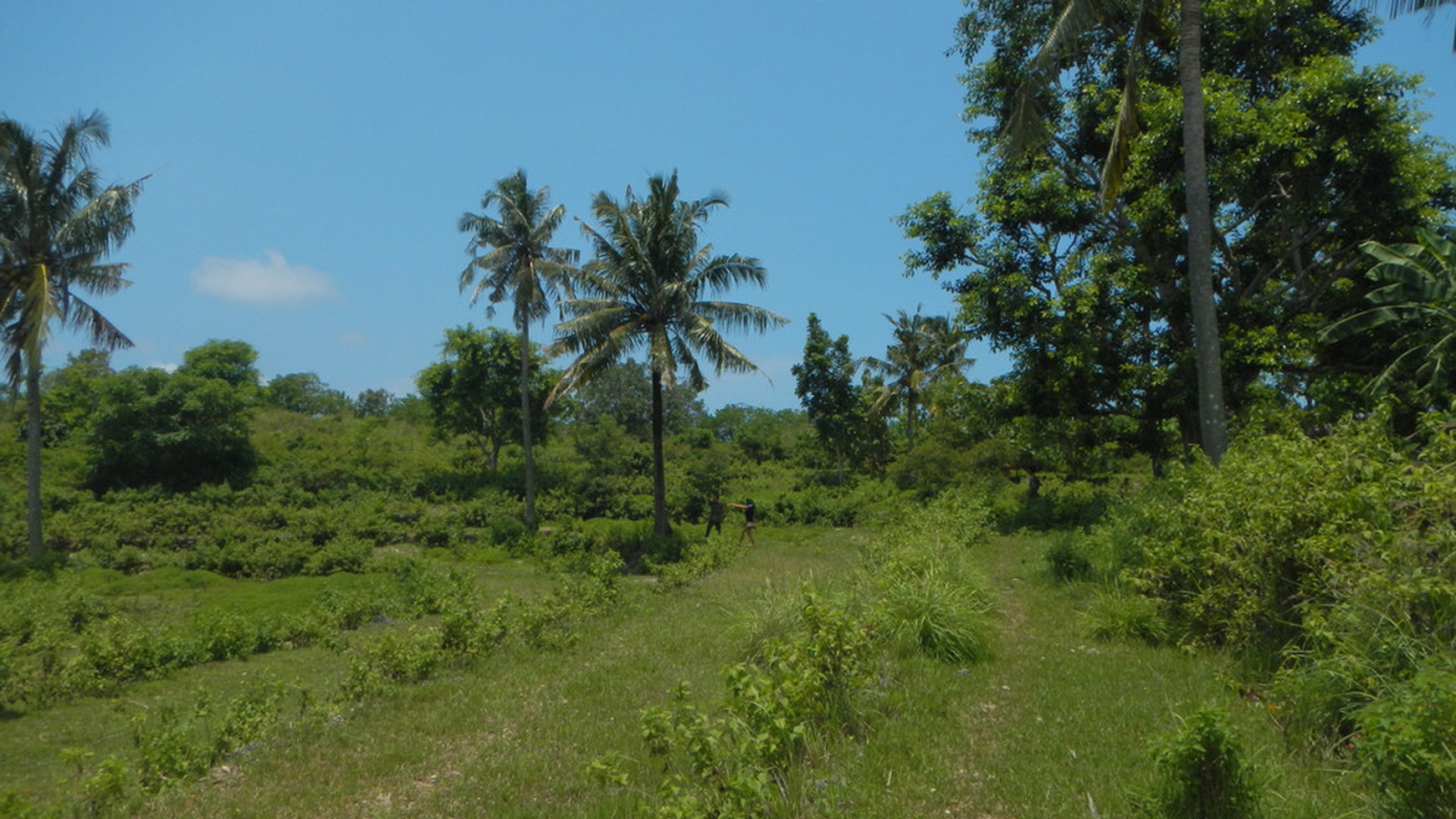 Cliff Top Land, One Hectar Freehold Nusa Penida, Bali