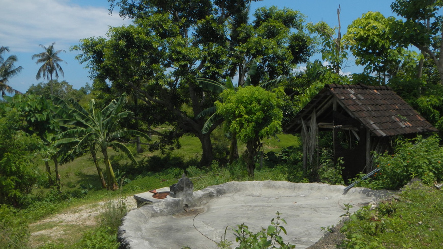 Cliff Top Land, One Hectar Freehold Nusa Penida, Bali