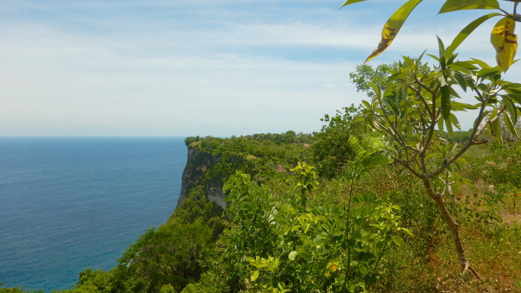 Cliff Top Land, One Hectar Freehold Nusa Penida, Bali