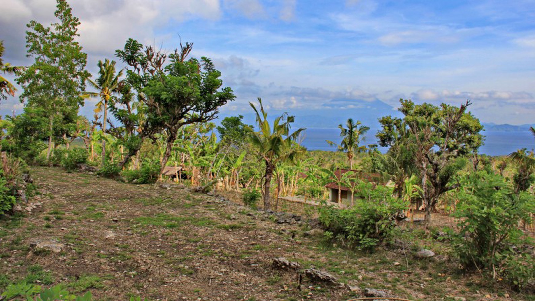 11100 Sqm Land Freehold In Kutampi Nusa Penida