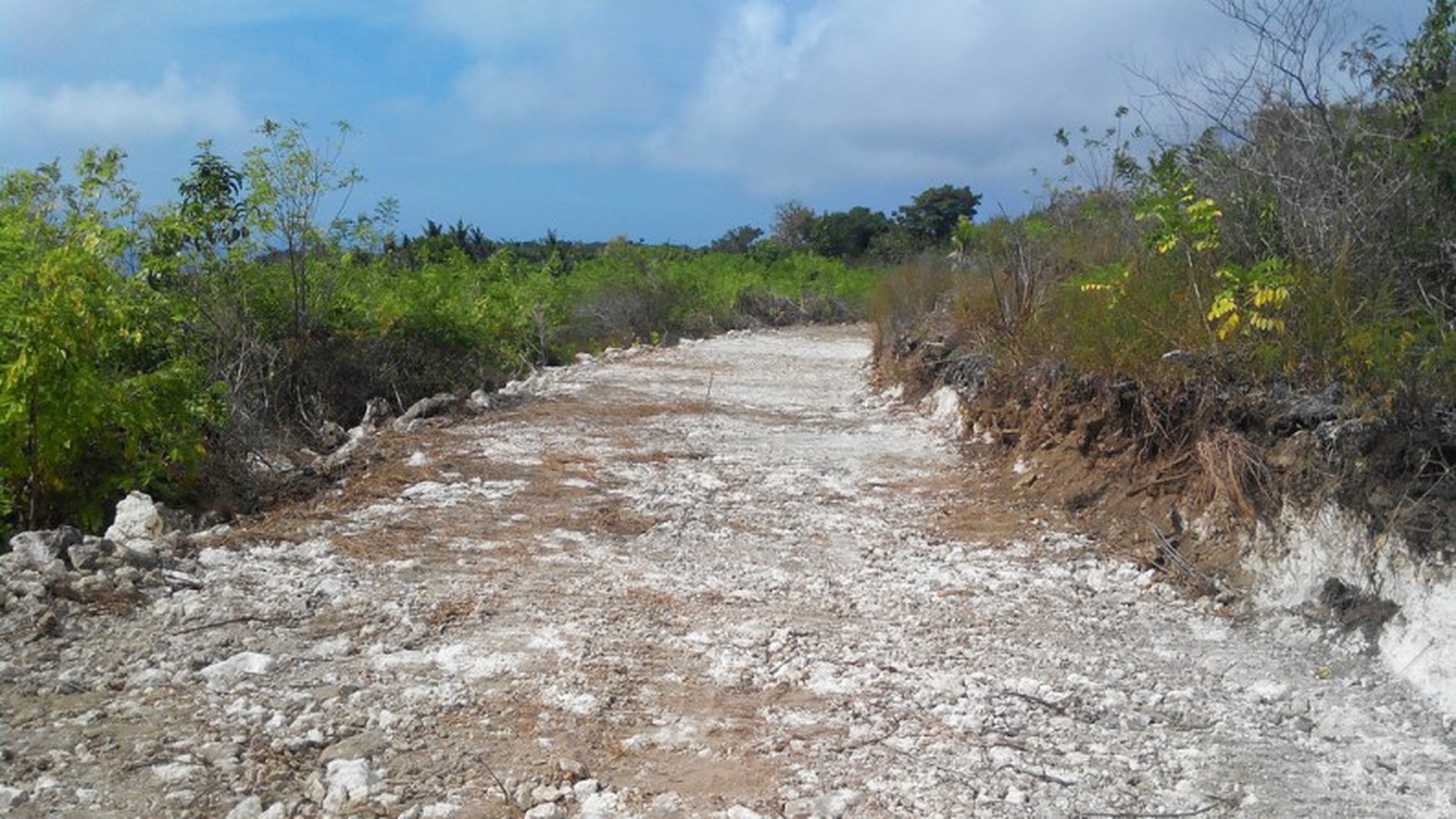 land Freehold 34200Sqm In Nusa Penida