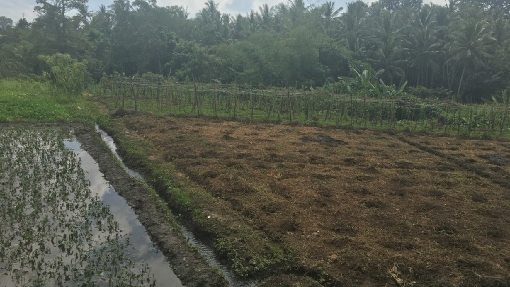 Land Freehold 53 Are 12 Minute Drive To the Beach Yeh Gangga Tabanan Bali