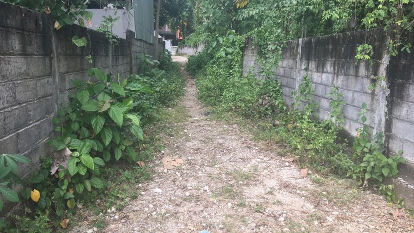 Land Freehold 53 Are 12 Minute Drive To the Beach Yeh Gangga Tabanan Bali