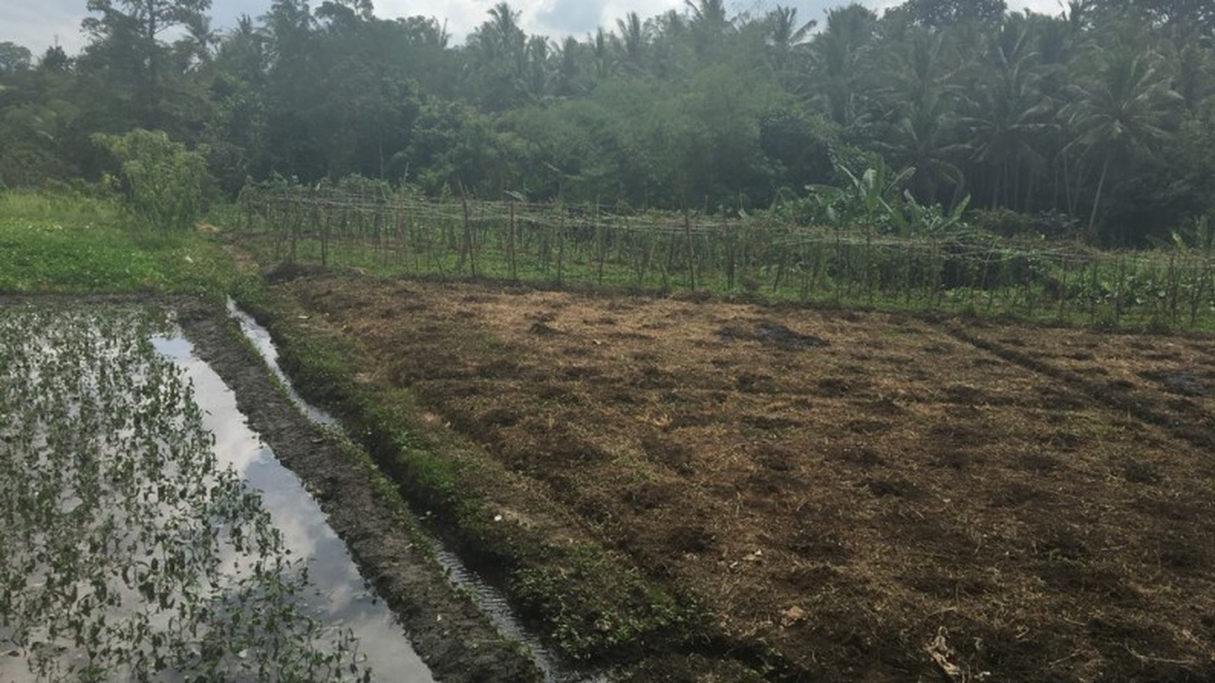 Land Freehold 53 Are 12 Minute Drive To the Beach Yeh Gangga Tabanan Bali