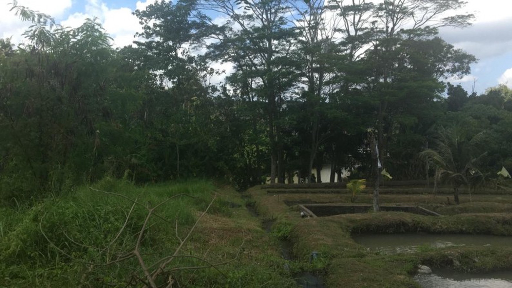 Land Freehold Main Road 2700 Sqm in Yeh Gangga Tabana Bali