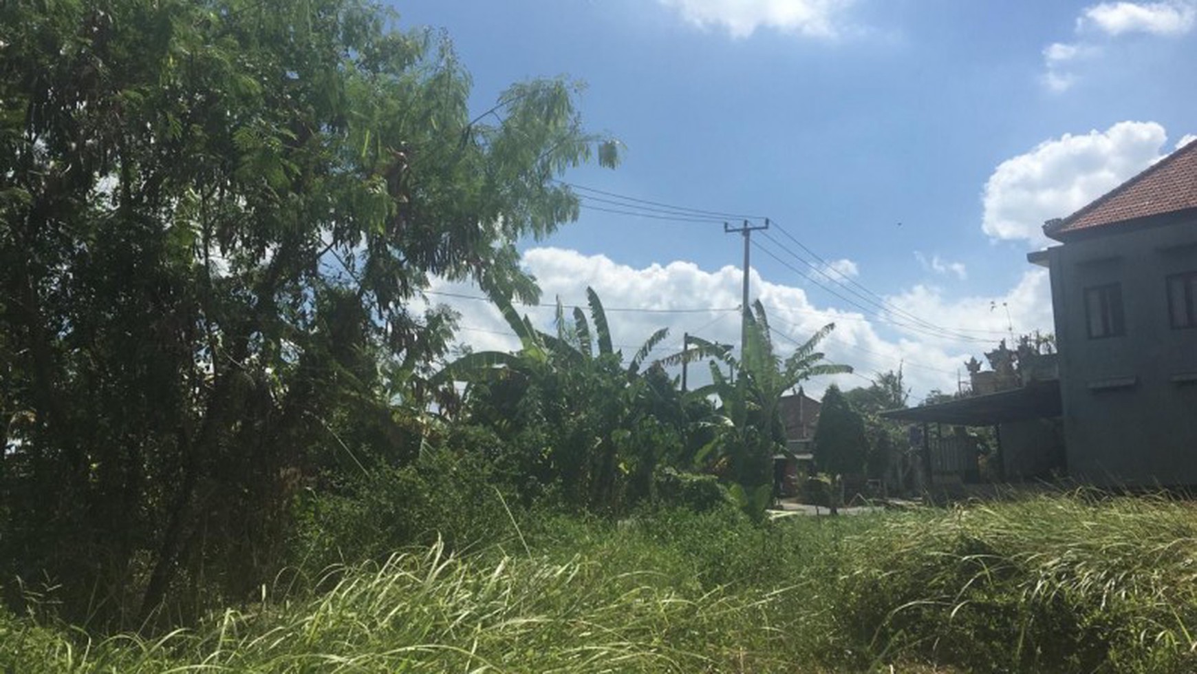 Land Freehold Main Road 2700 Sqm in Yeh Gangga Tabana Bali