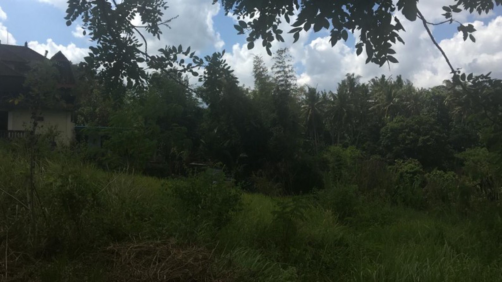 Land Freehold Main Road 2700 Sqm in Yeh Gangga Tabana Bali