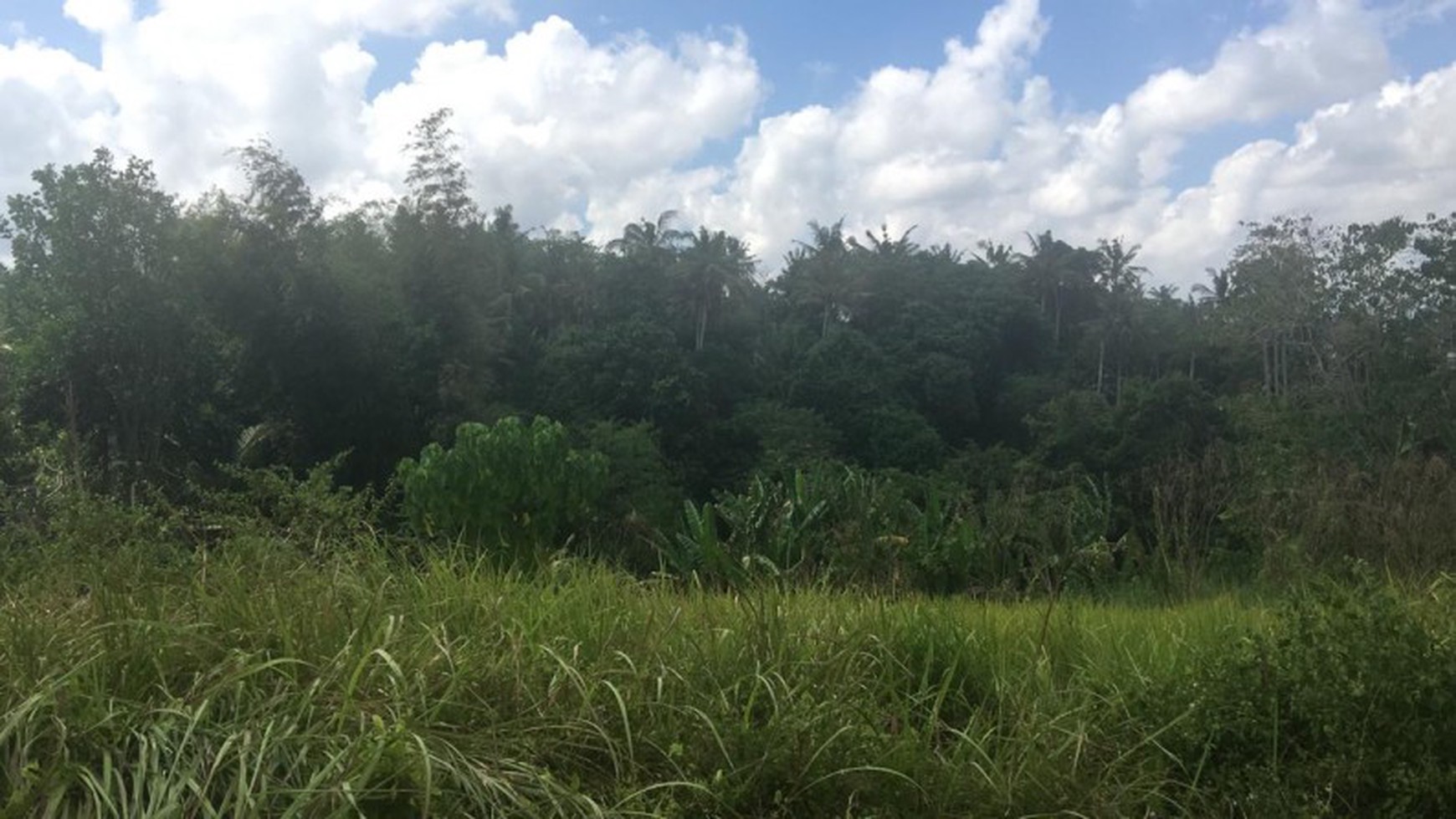 Land Freehold Main Road 2700 Sqm in Yeh Gangga Tabana Bali