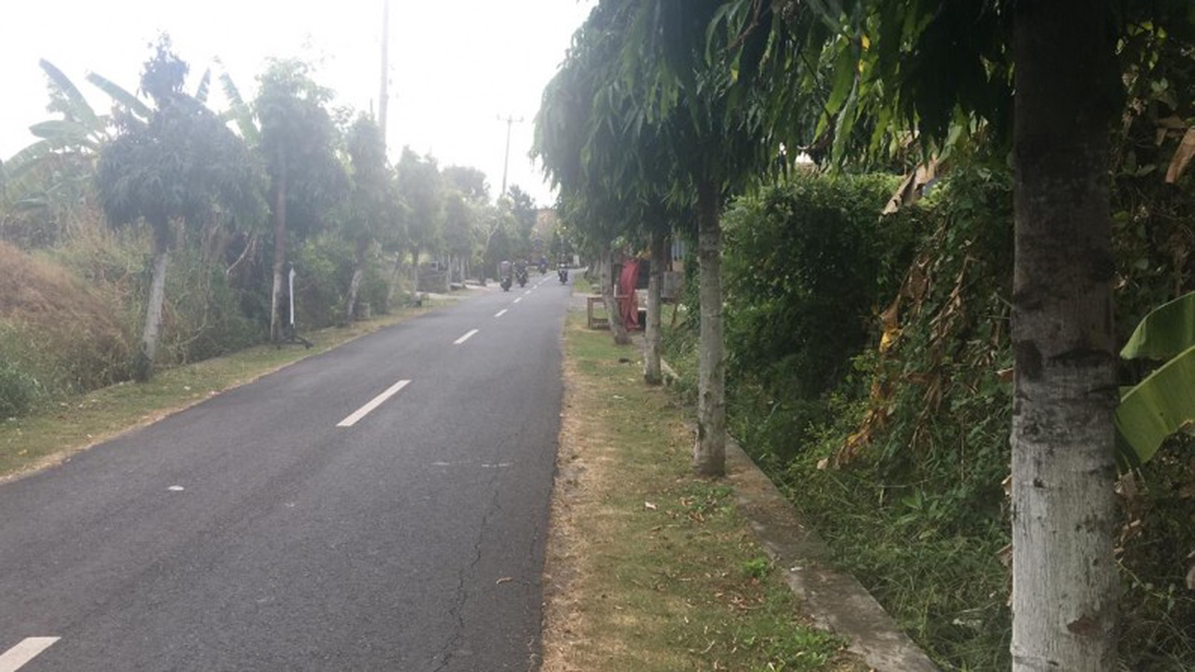 Land Freehold Main Road 2700 Sqm in Yeh Gangga Tabana Bali