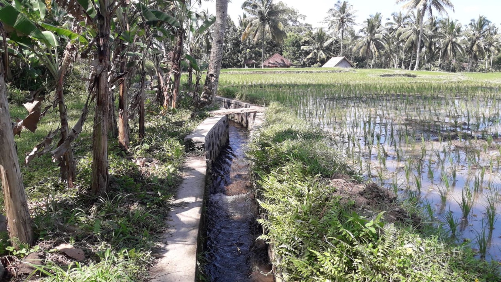 2090 Sqm of Freehold Land for Sale 25 minutes from Ubud Center Bali
