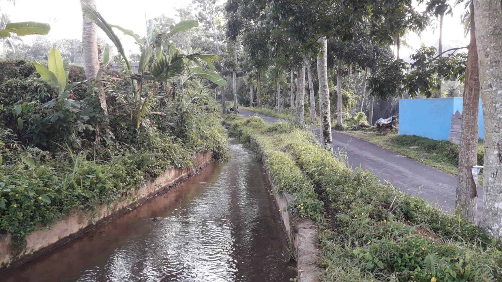 2090 Sqm of Freehold Land for Sale 25 minutes from Ubud Center Bali