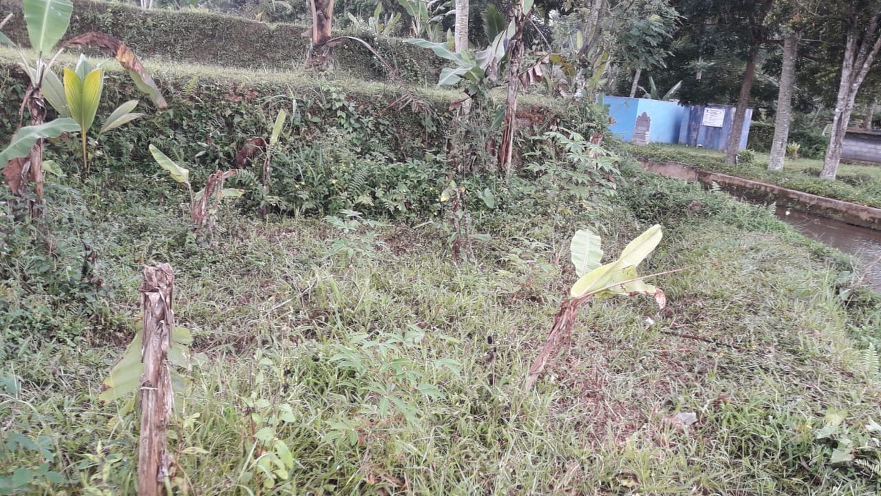 2090 Sqm of Freehold Land for Sale 25 minutes from Ubud Center Bali