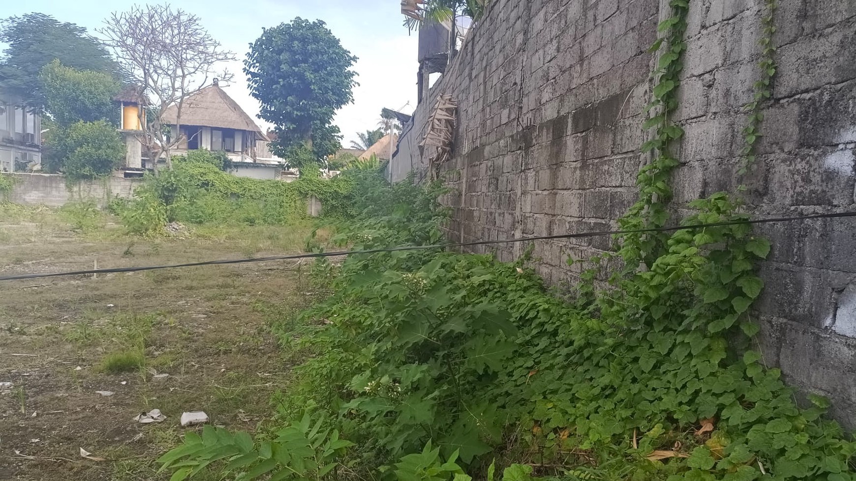 Land Leasehold 1000 Sqm in Great Location Main Road Drupadi Bali