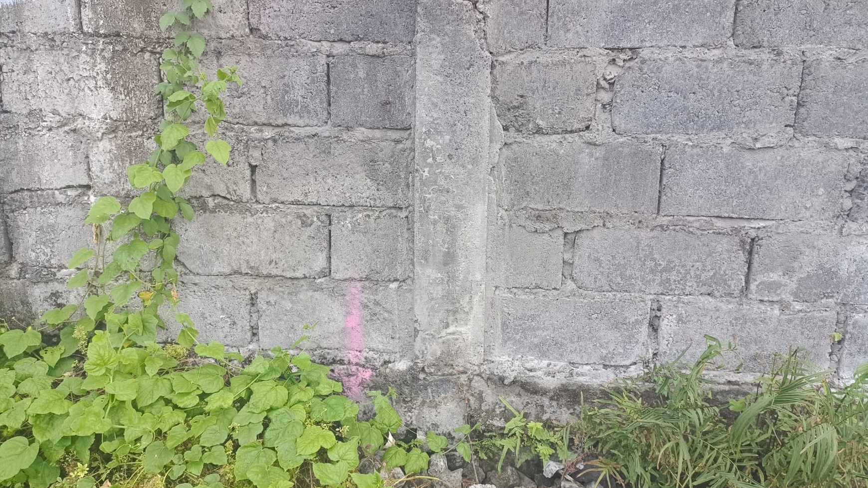 Land Leasehold 1000 Sqm in Great Location Main Road Drupadi Bali