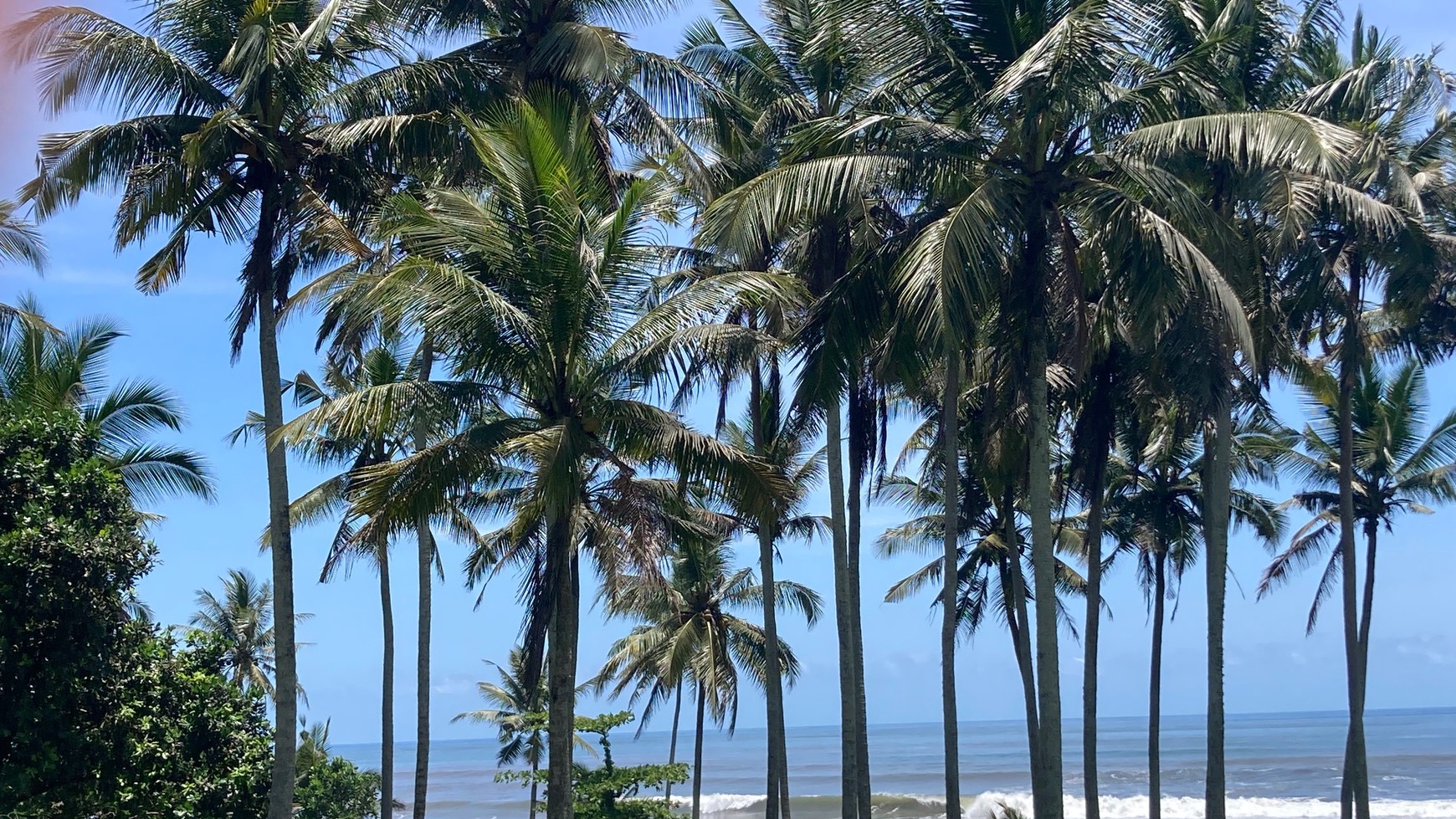Beachfront Land in Great Location Antap Tabanan Bali
