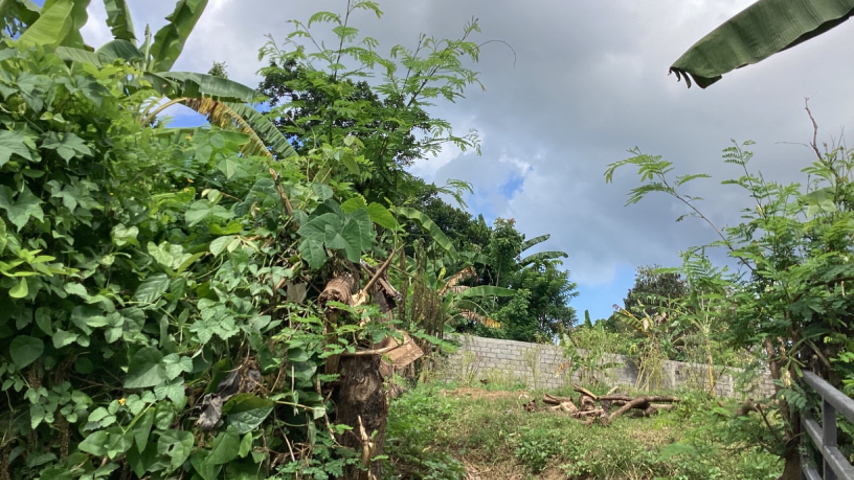 Land Leasehold In Great Location Kaba Kaba Bali
