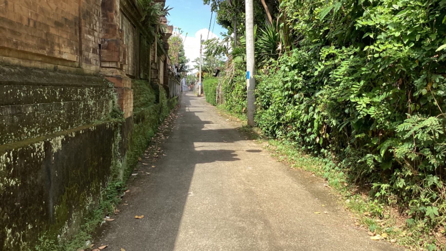 Land Leasehold In Great Location Kaba Kaba Bali