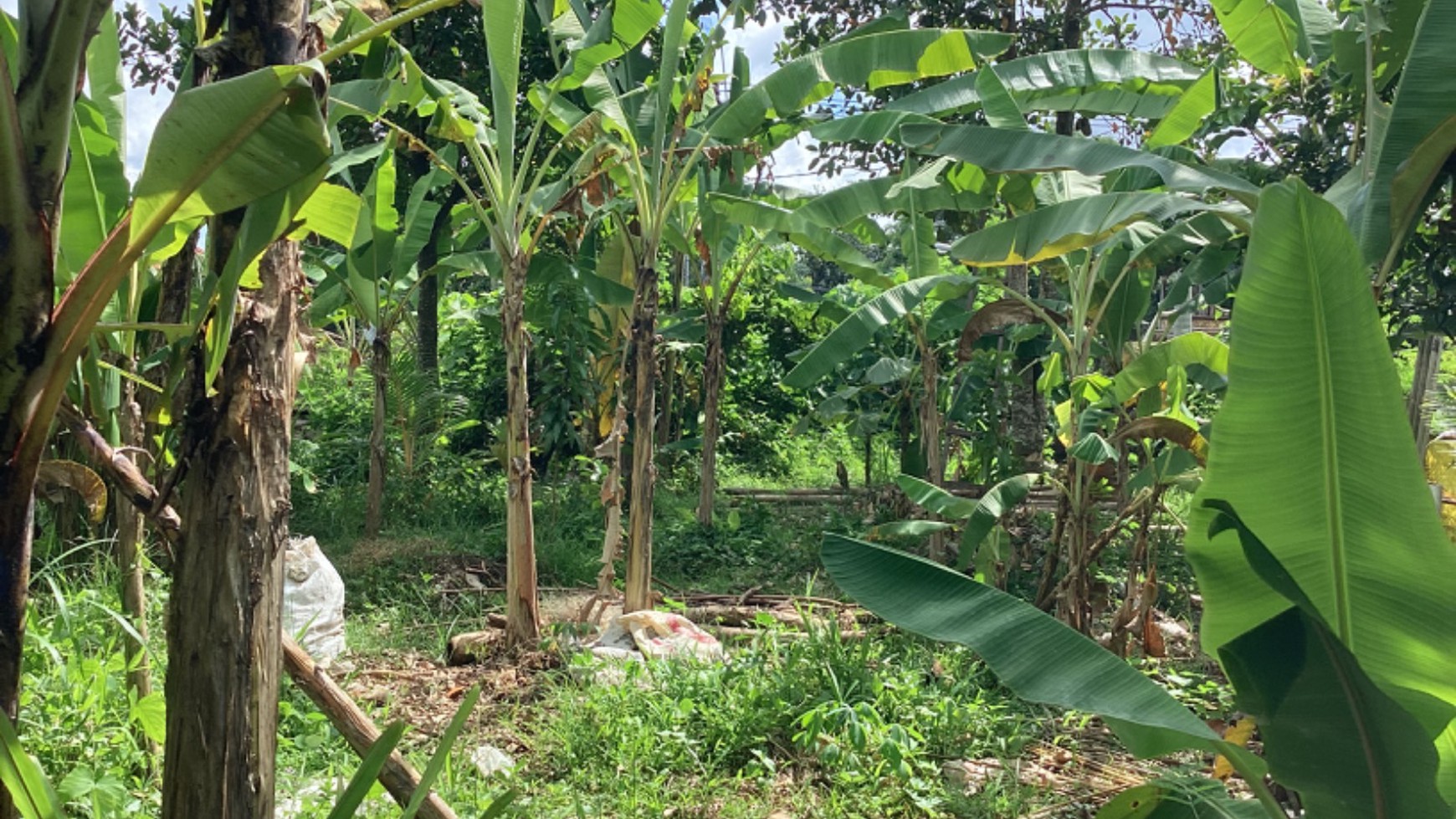 Land Leasehold In Great Location Kaba Kaba Bali