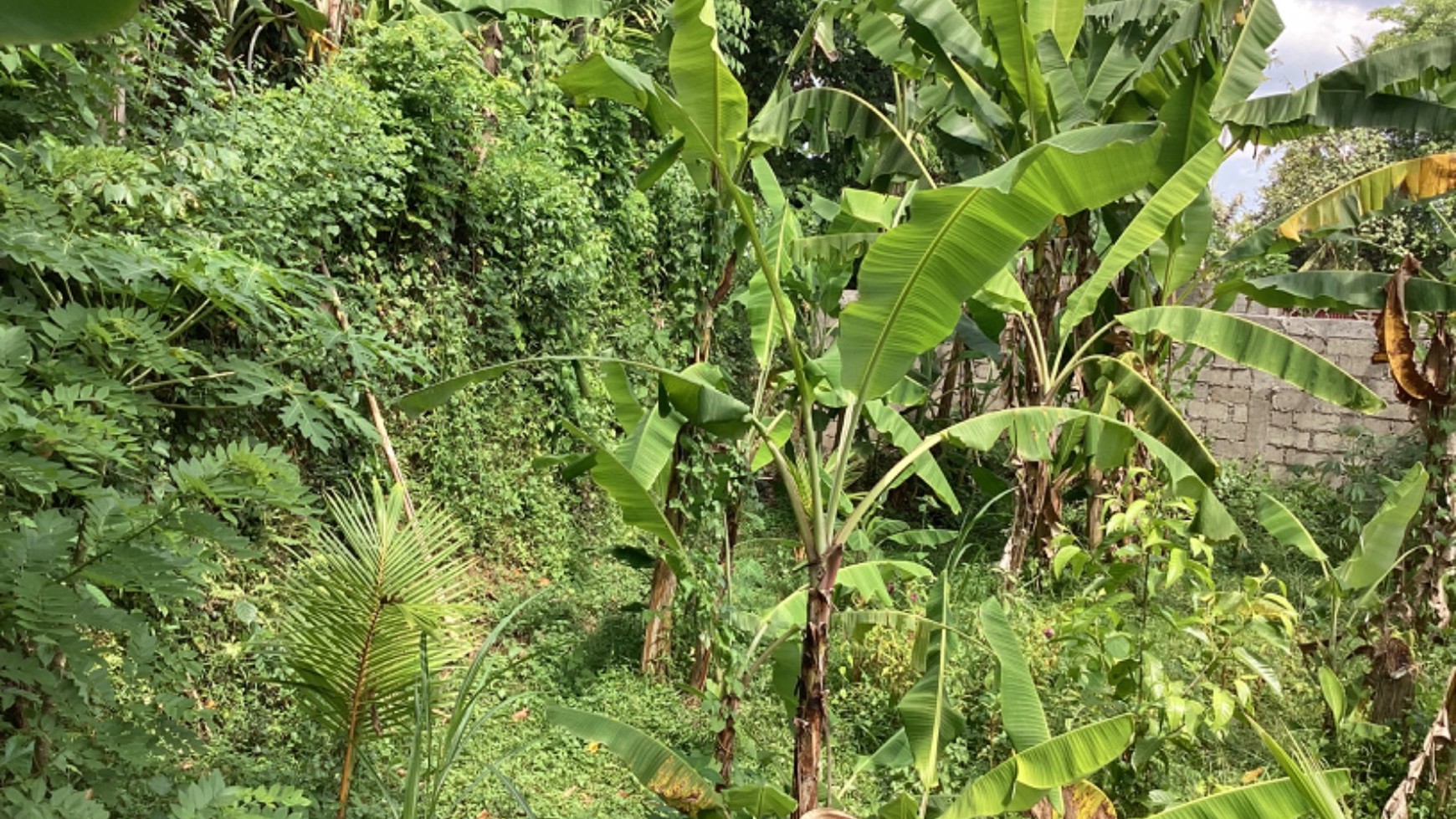 Land Leasehold In Great Location Kaba Kaba Bali