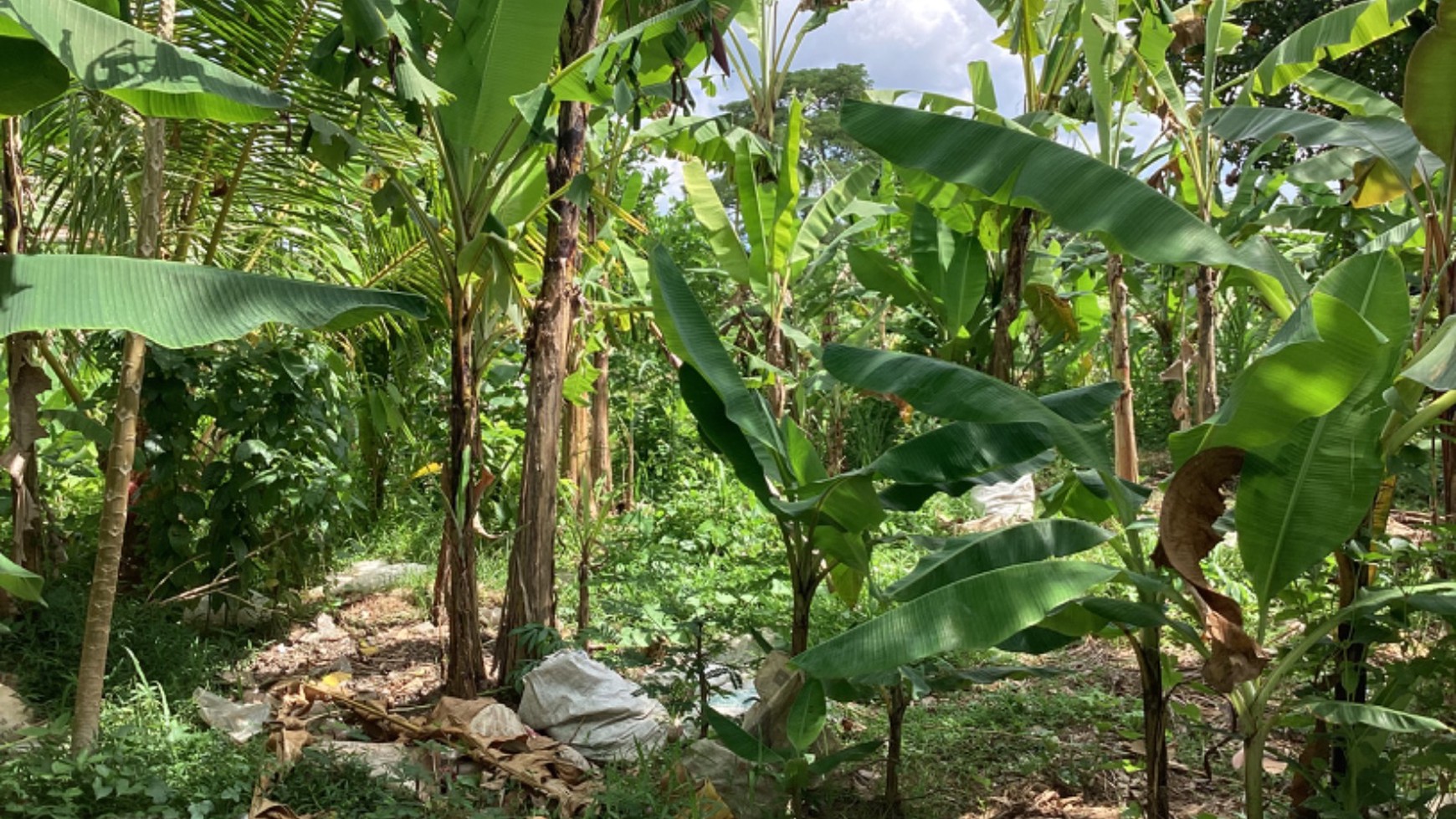 Land Leasehold In Great Location Kaba Kaba Bali