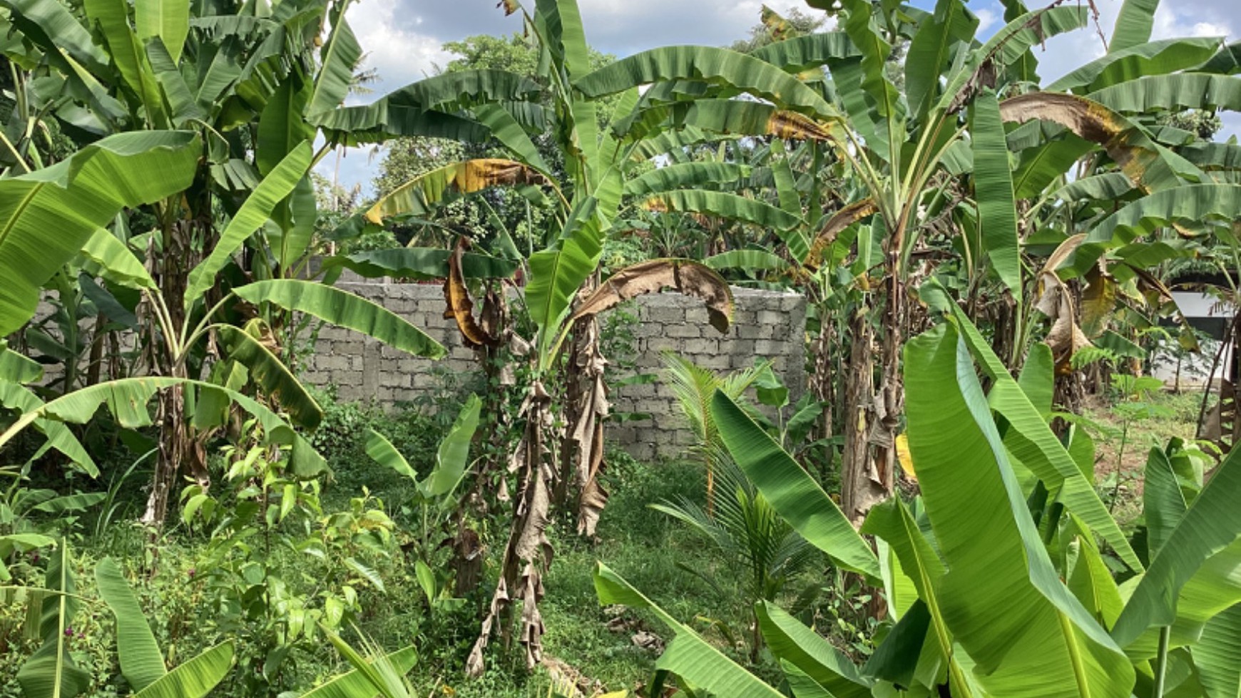 Land Leasehold In Great Location Kaba Kaba Bali