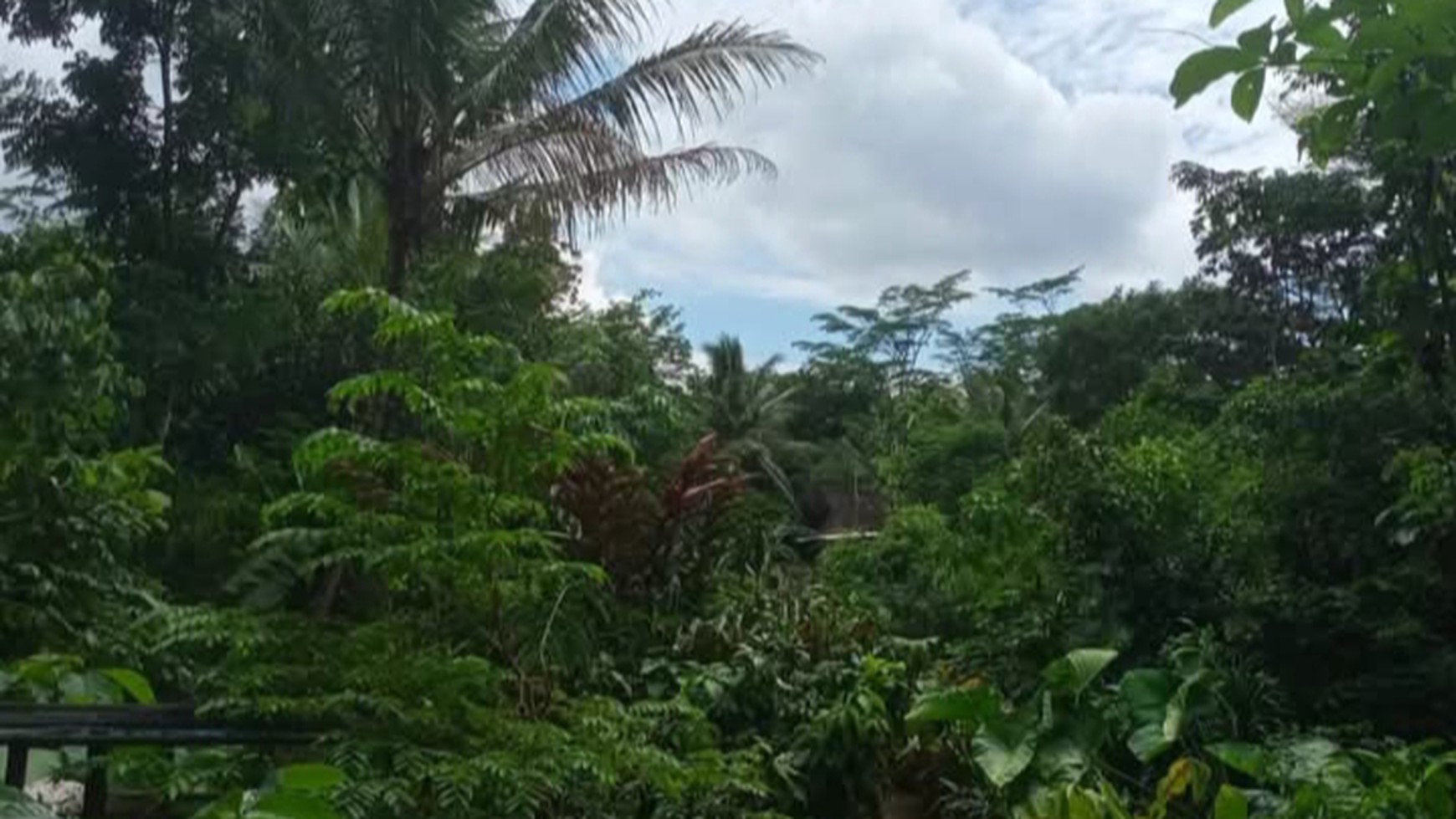 Tanah Tegalan Seluas 1027 Meter Persegi Lokasi Jalan Raya Sigug Borobudur Magelang