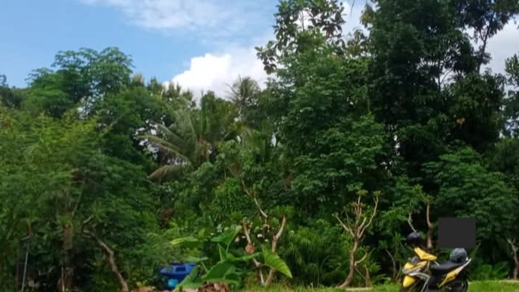 Tanah Tegalan Seluas 1027 Meter Persegi Lokasi Jalan Raya Sigug Borobudur Magelang