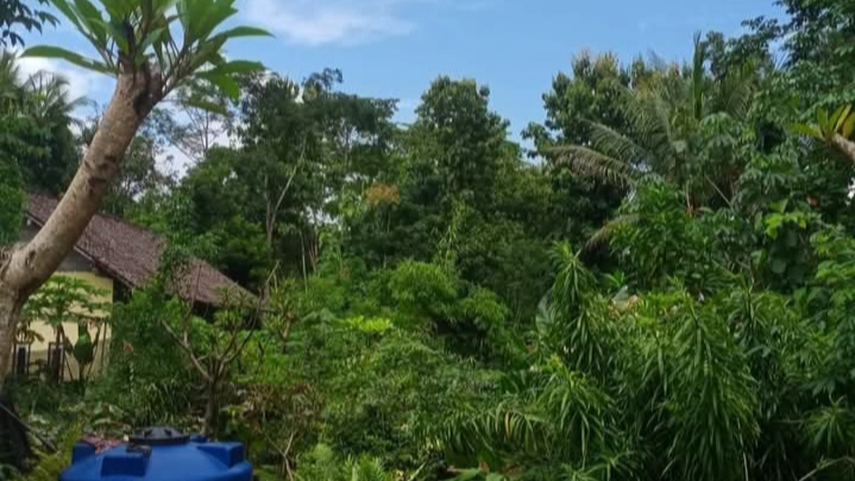Tanah Tegalan Seluas 1027 Meter Persegi Lokasi Jalan Raya Sigug Borobudur Magelang