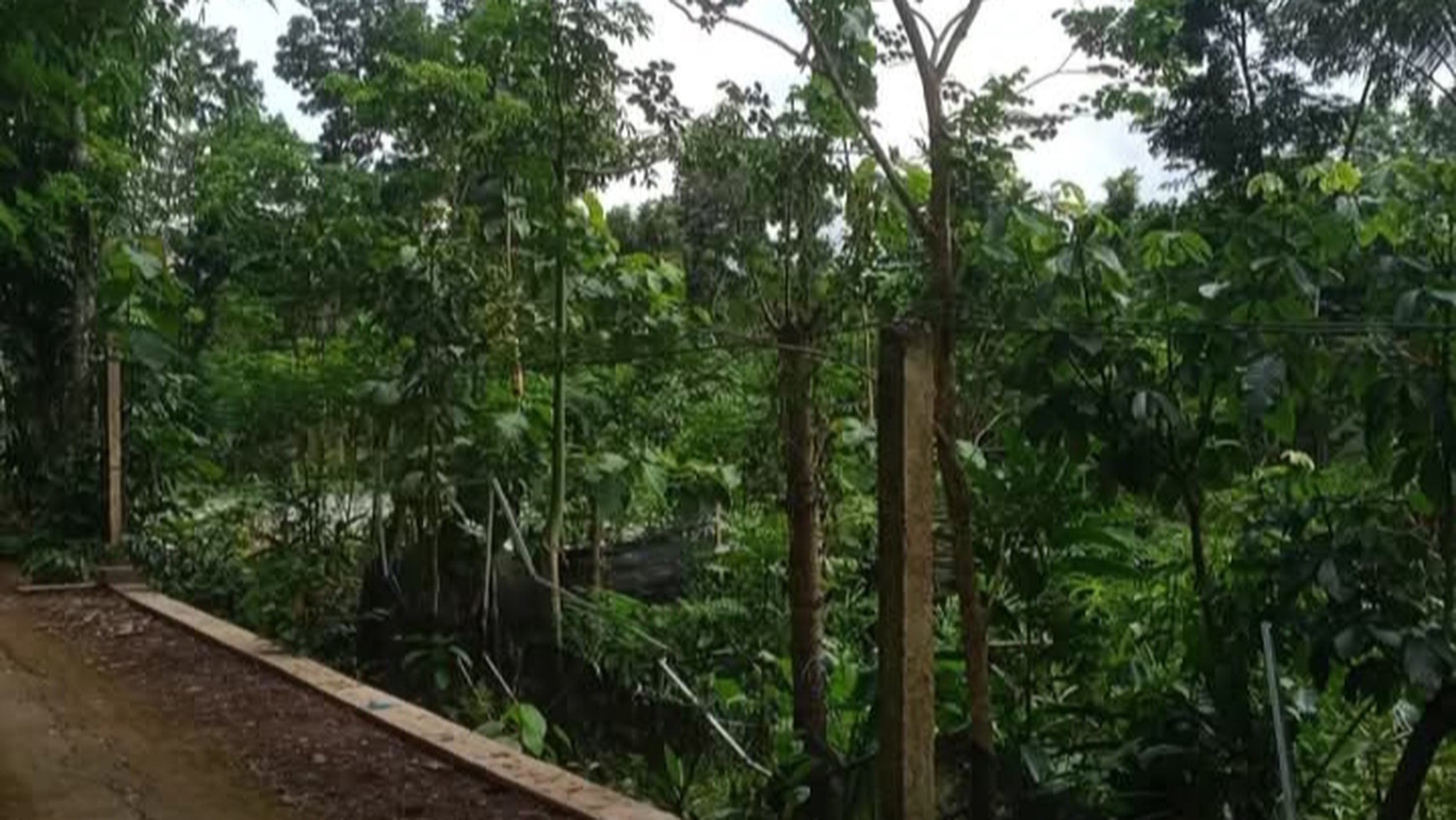 Tanah Tegalan Seluas 1027 Meter Persegi Lokasi Jalan Raya Sigug Borobudur Magelang