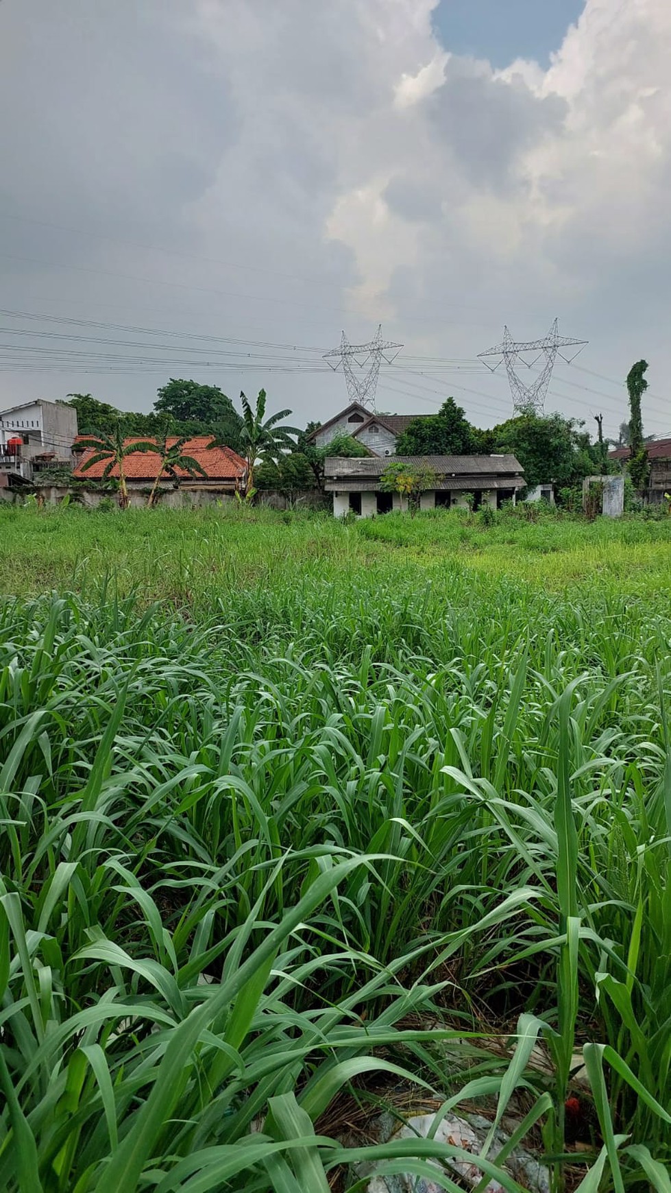 Dijual Cepat Kavling Commercial Strategis di Jl Raya Curug dkt Paramount Petal hanya 5 menit 2,6Km ke Tol Bitung-Jakarta