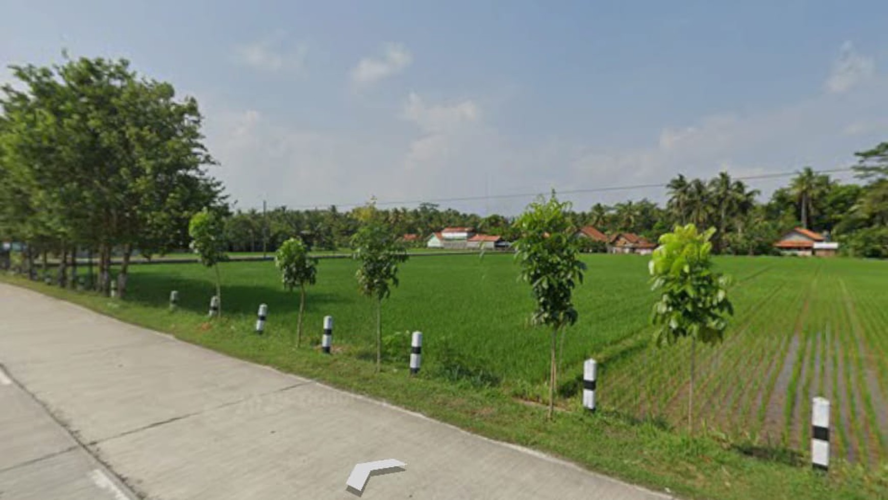 Tanah Sawah 1638 Meter Persegi Ditepi Jalan Provinsi Grabag Purworejo