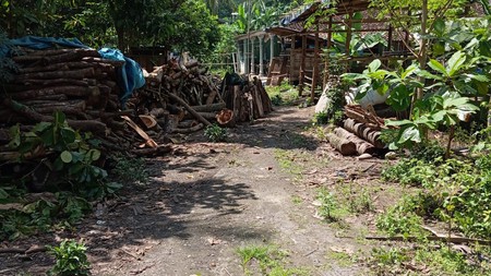 Tanah Pekarangan 851 Meter Persegi Dengan Lingkungan Asri Diwijirejo Pandak Bantul