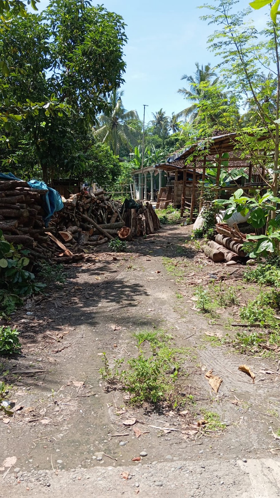 Tanah Pekarangan 851 Meter Persegi Dengan Lingkungan Asri Diwijirejo Pandak Bantul