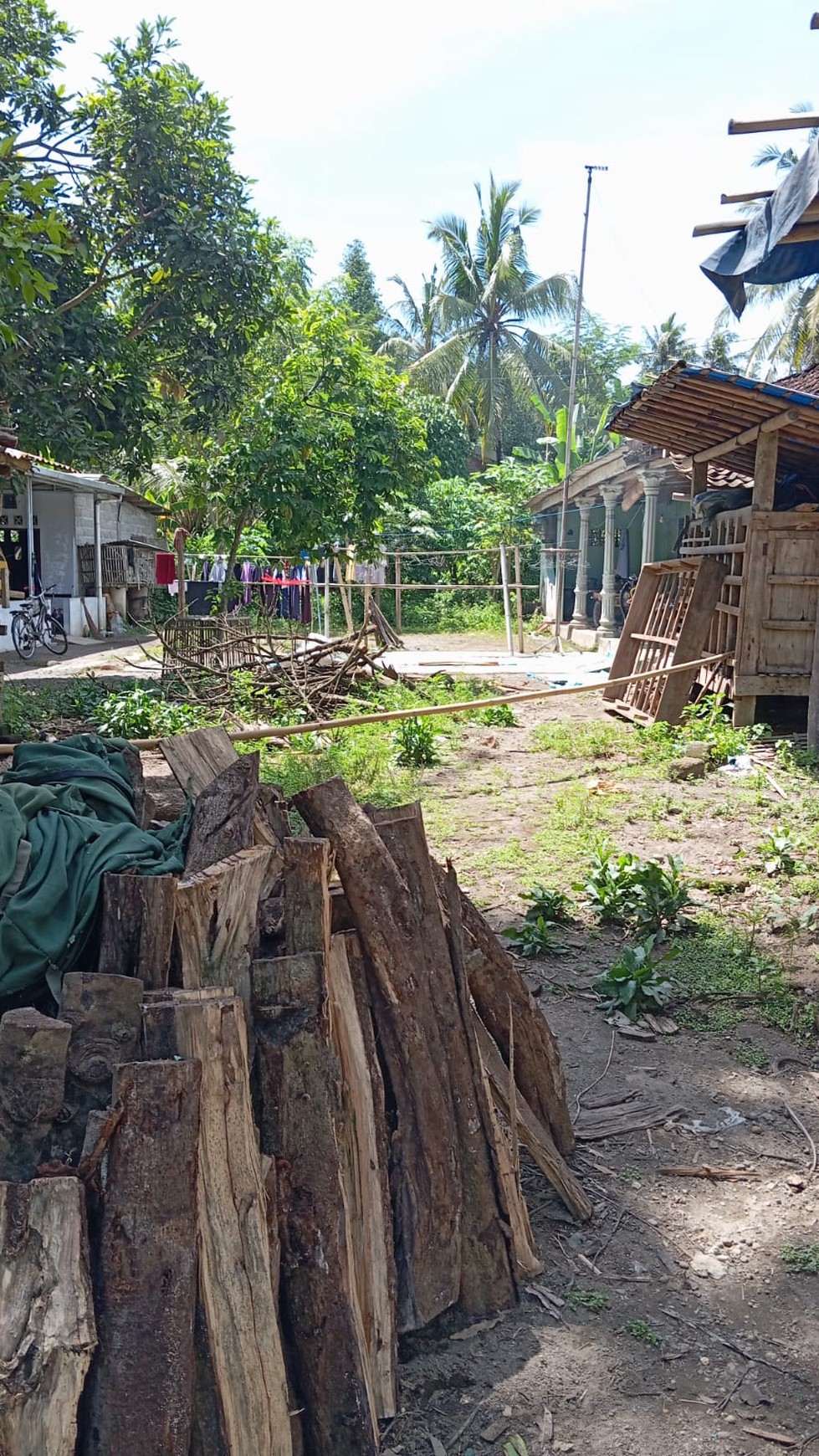 Tanah Pekarangan 851 Meter Persegi Dengan Lingkungan Asri Diwijirejo Pandak Bantul