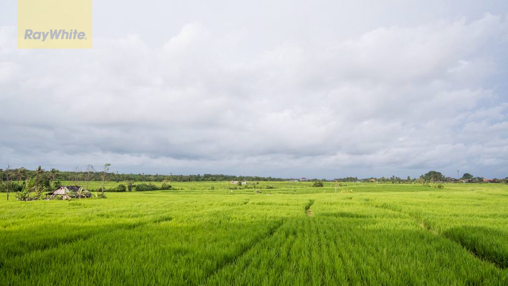 Luxury 4 Bedroom Villa Close to the beach Cemagi Bali