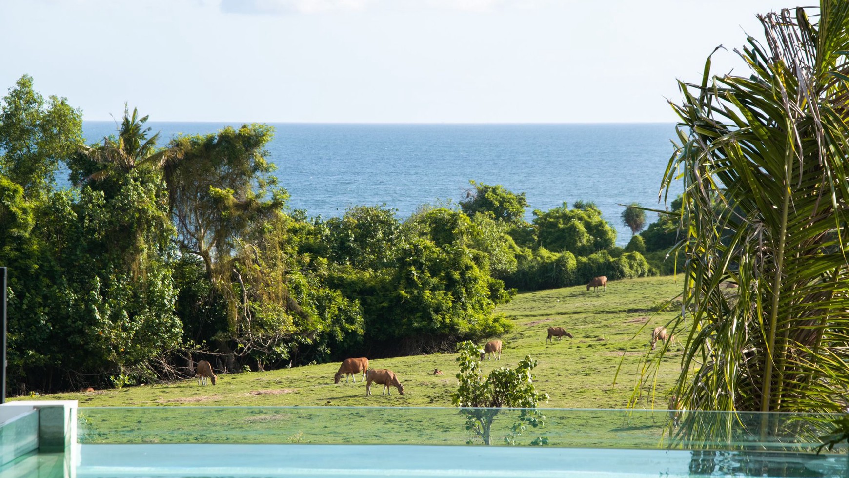 Leasehold Villa Project In Great Location Pantai Lima Canggu Bali